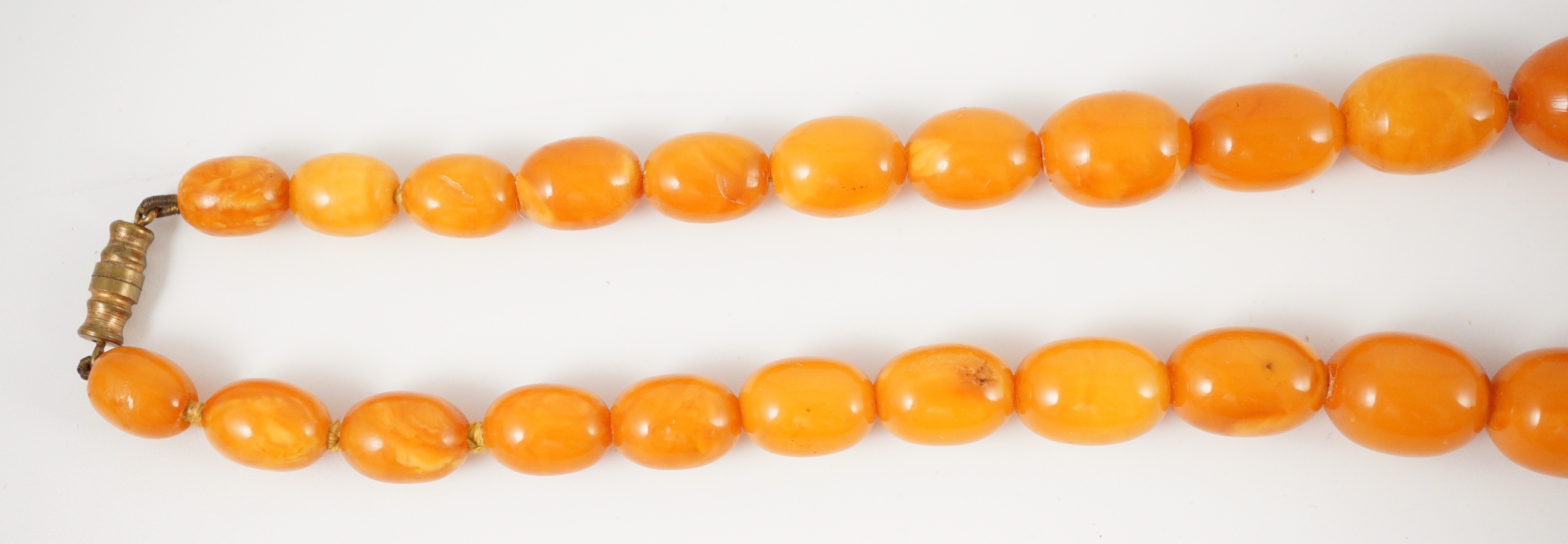 A single stand graduated oval amber bead necklace, 76cm, gross weight 85 grams.